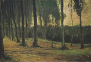 Bosrand door Vincent van Gogh
